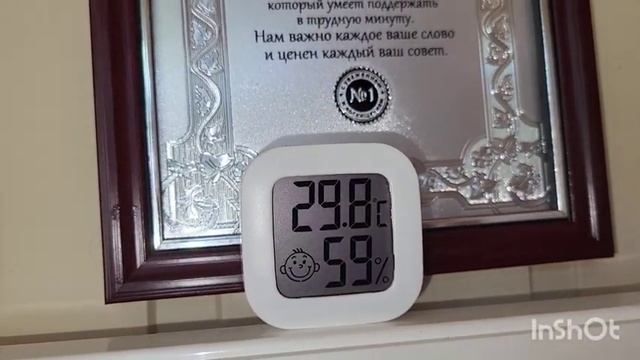 Мои редкие растения. Стефания. Целиндропунция. Итогува. 04.07.2023. смотреть онлайн