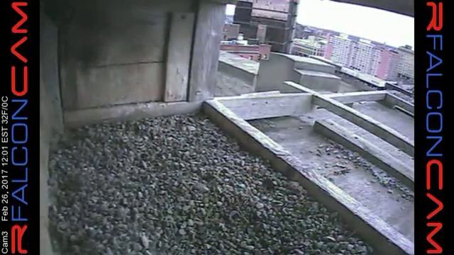 Camera 3 - 02/26/17 смотреть онлайн