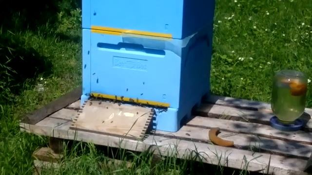 Теплое Лето 2013 смотреть онлайн