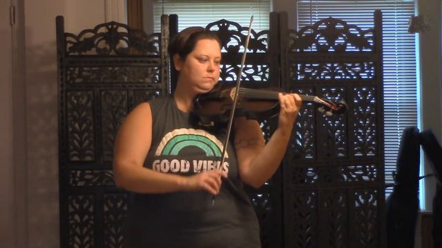Glasser Carbon 5 String Violin смотреть онлайн