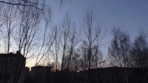 Как выгнать ворон за 1 секунду + крики сотни испуганных ворон для отпугивания других ворон любых