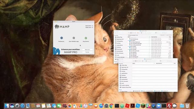 Creating a local web environment with WordPress on Mac OSX in under 10 min! смотреть онлайн