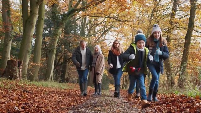 Lehner Versand AG VibroLegs Elliptical Art-Nr. 5804969