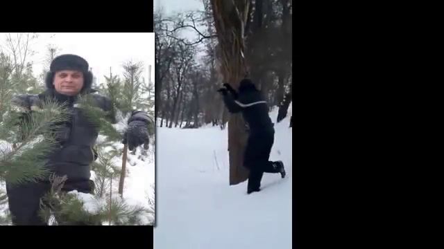 Зима - холода!!!!!! смотреть онлайн