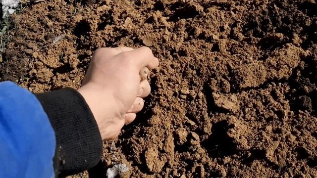 Состояние озимых и запас влаги в метровом слое 2021 смотреть онлайн