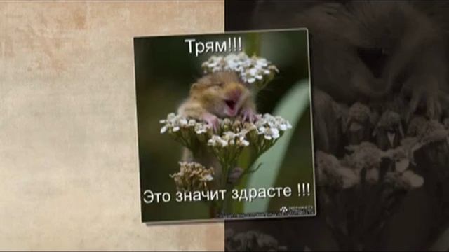 Моему крестнику !!!!! смотреть онлайн