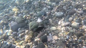 Что Можно Найти на Дне Моря!