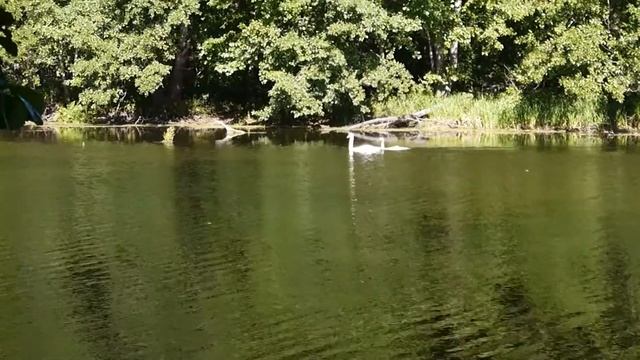 Сплав по реке Хопёр. Фототур. Часть 3. смотреть онлайн