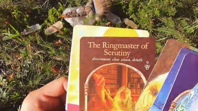 ?WHO or WHAT Are You MANIFESTING in Your LIFE??PICK A CARD??ZODIAC ELEMENT??+NATURE SPIRIT WALK!?♀ смотреть онлайн
