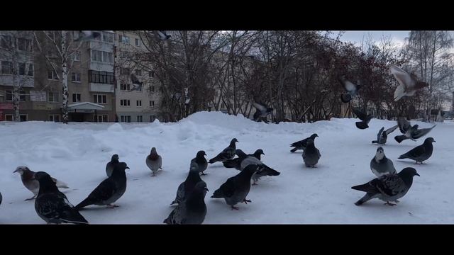 2022-12-17 смотреть онлайн