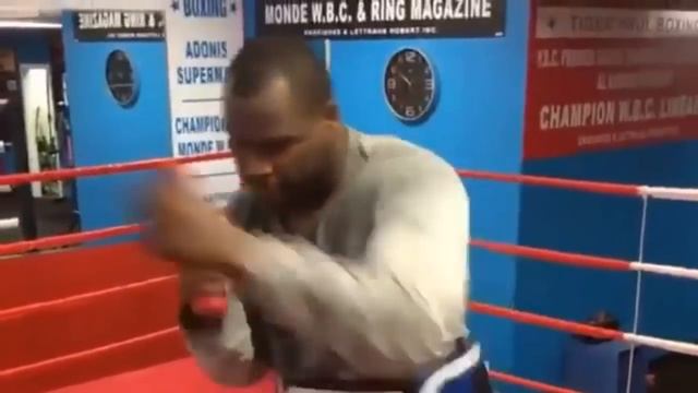 АЛЕКСАНДР ГВОЗДИК VS АДОНИС СТИВЕНСОН (ПРОГНОЗ И АНАЛИЗ) смотреть онлайн