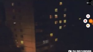 Топ 4 гигантских палочников снятых на камеру. [Новая рубрика]