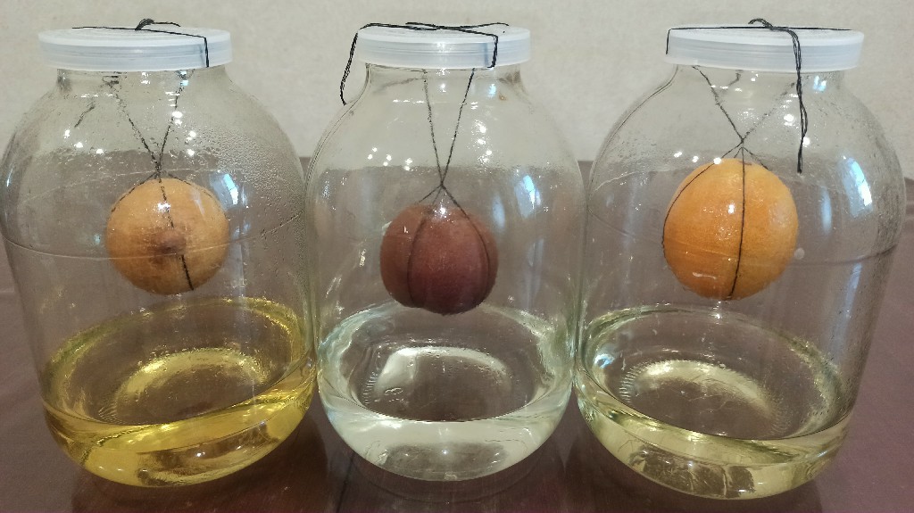 ВИСЕЛЬНИКИ на Лимоне, Апельсине и Яблоке. РЕЦЕПТ Настойки на САМОГОНЕ