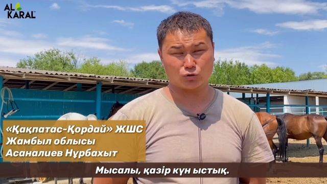 Жылқыға арналған табиғи жем қоспасы смотреть онлайн