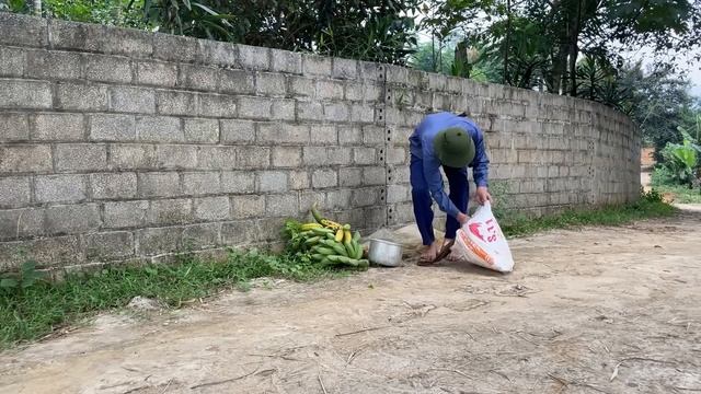 Hard Life - Harvest Forest Bananas, Catch Snails to Sell for a Living Every Day смотреть онлайн
