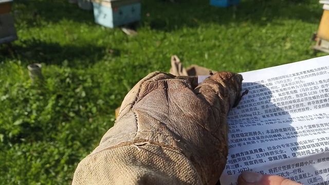 Часть 1 . Ставим китайские полоски , от клеща Варроа . смотреть онлайн