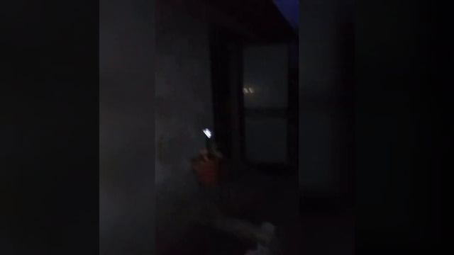 Цветы поздним вечером. смотреть онлайн