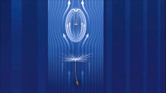 Удивительный парашютик одуванчика: эволюция или сотворение? смотреть онлайн