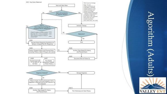 Evaluation of a Neck Mass смотреть онлайн