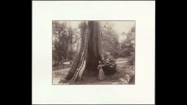 Exhibition on Early Canadian Travel Photography at the National Gallery of Canada смотреть онлайн