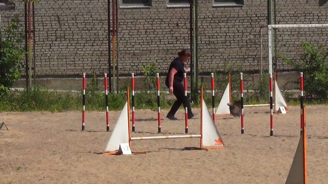 Джампинг+Качель Емельянова Светлана керн-терьер ВИЛЛИ ВОНКА С НЕВСКОГО БЕРЕГА смотреть онлайн