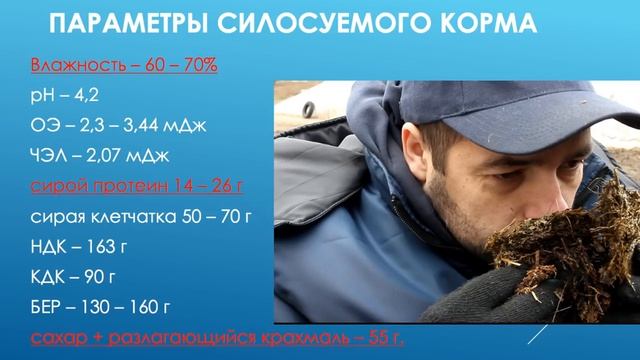 Гигиена кормов и качество молока. ВЕБИНАР