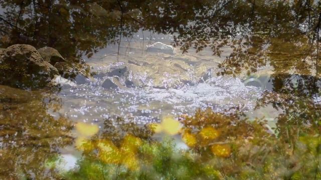 Не захламляйте свою душу негативом /автор слов Эндрю Фриз/ смотреть онлайн