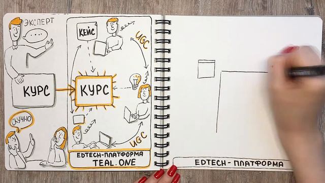 Образовательная платформа и UGC (user Generated Content)