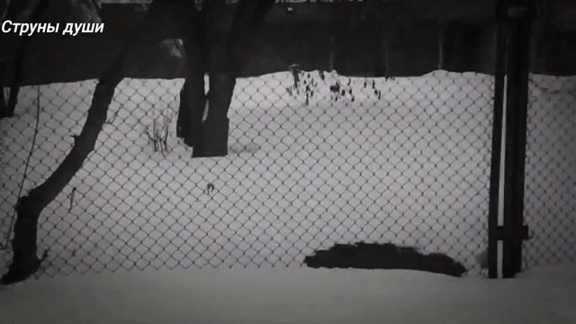 Удивительно Глубокие Стихи !Это нужно понять сердцем! Послушай !!! Читает Нечаева Наталья смотреть онлайн