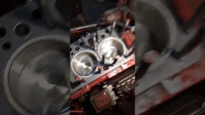 ДТ 75 головка