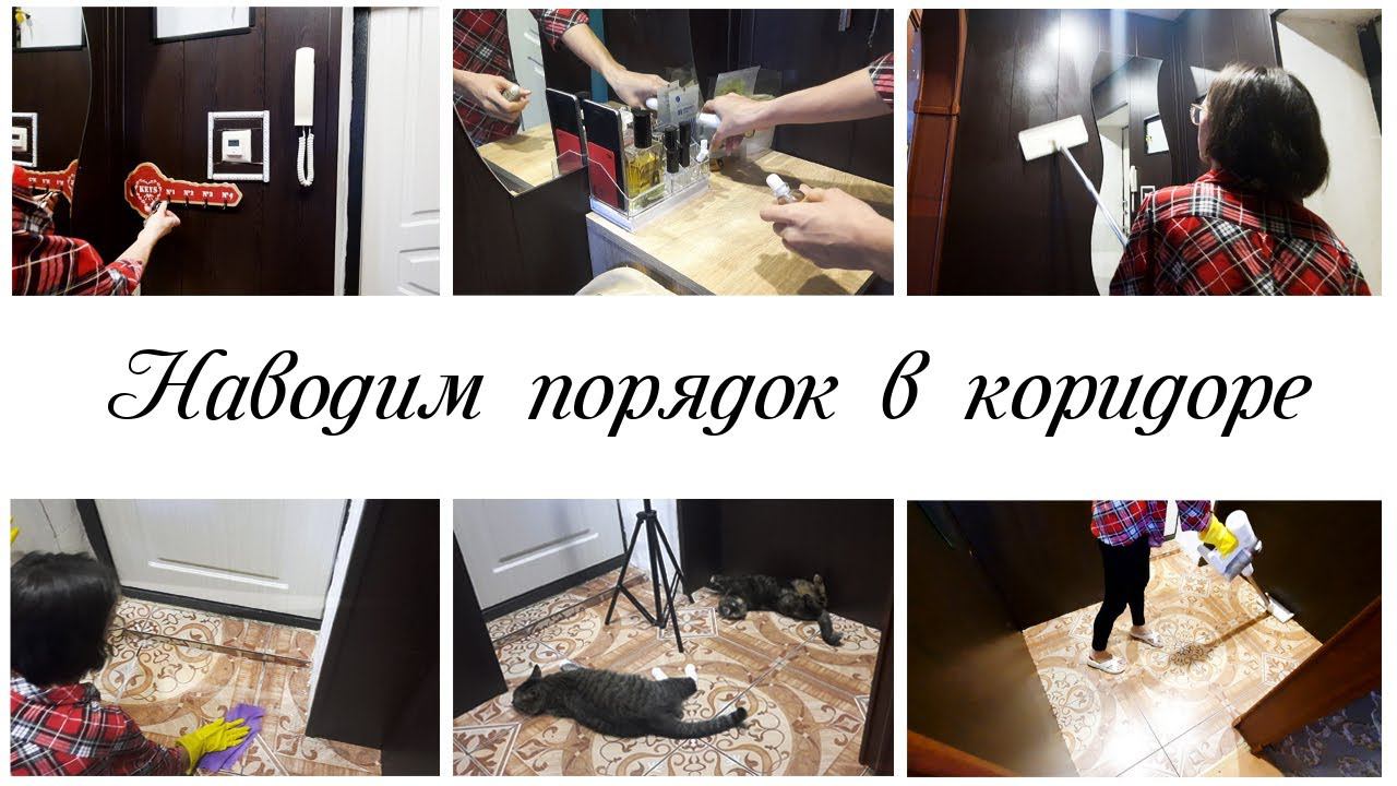Про друзей / Наводим порядок в коридоре / Мотивация на уборку в квартире смотреть онлайн