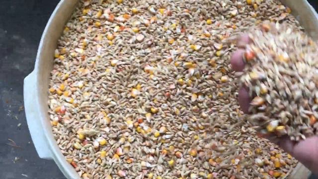 #Pigeons.Для особо одарённых. смотреть онлайн