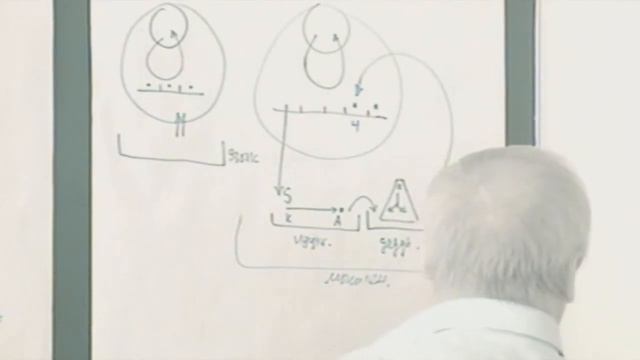Человек и первооснование Рефлексия Абстракции и дедукция Мышление в целом 2013 смотреть онлайн