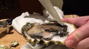 Как проверить свежая ли устрица