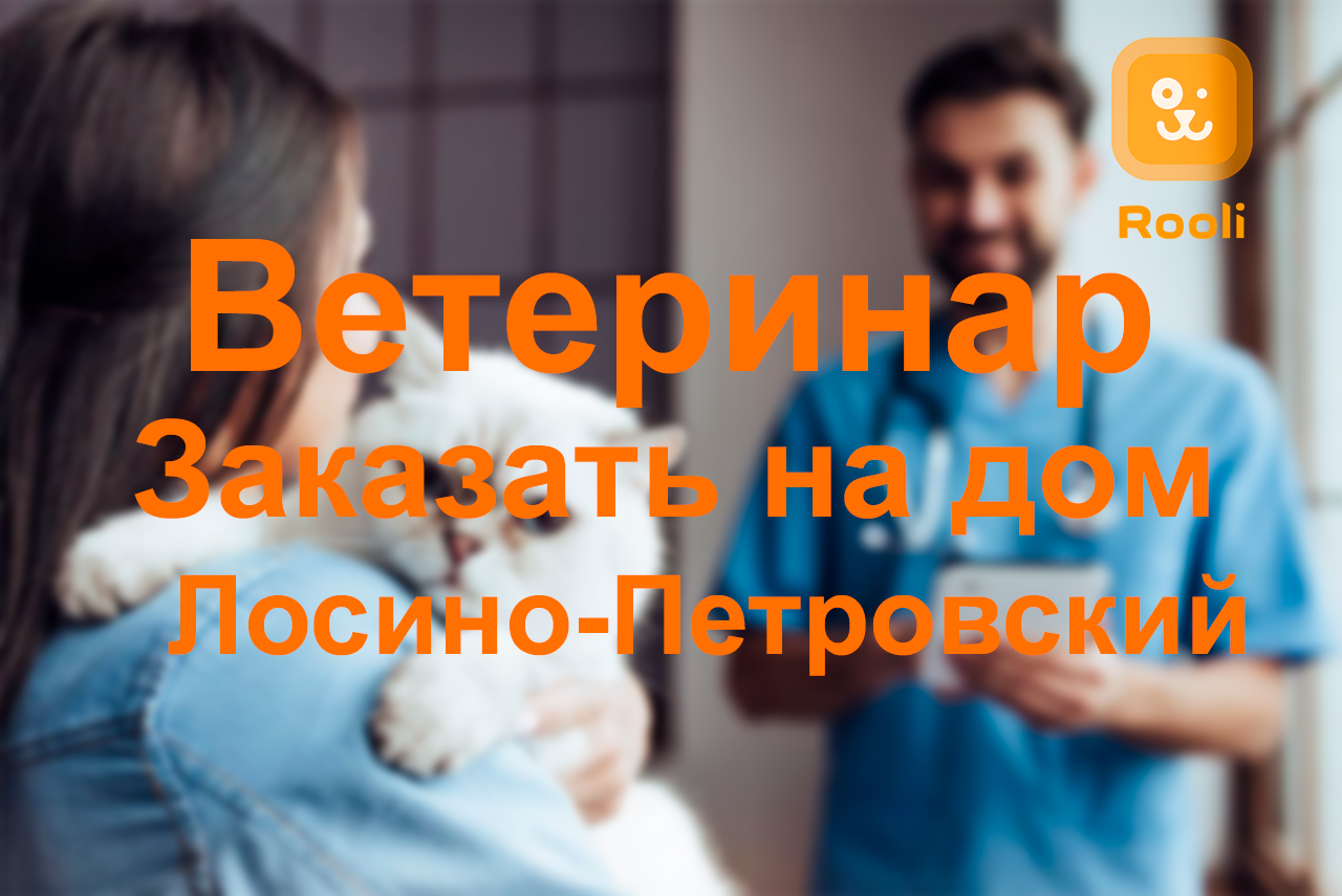 Ветеринар в Лосино-Петровском: Заботливая помощь для вашего питомца в любое время смотреть онлайн