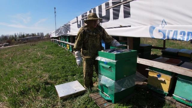 Установка вторых корпусов на ульи. Подготовка пчелосемей к делению на отводки начинающему пчеловоду смотреть онлайн