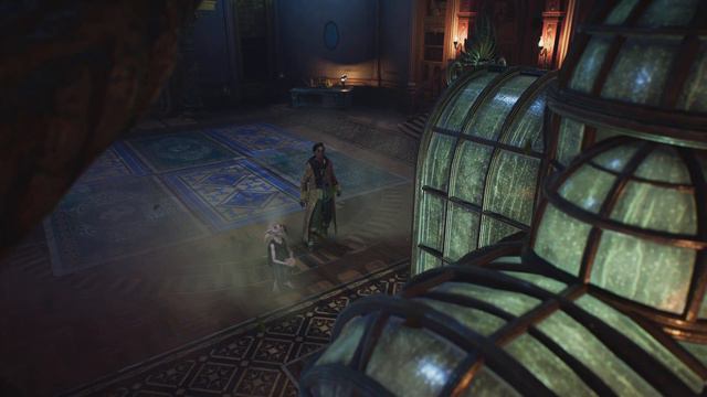 Hogwarts Legacy-Vivarium(PS5) смотреть онлайн