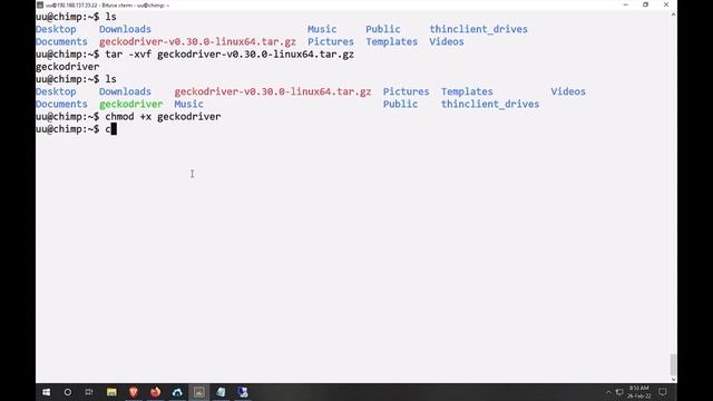 Install Selenium webdriver on ubuntu 20.04 смотреть онлайн