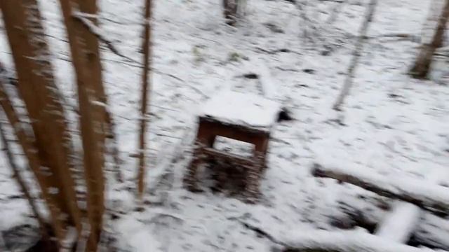 Дорога из магазина. Жарим курицу в углях. (Часть 2)#дорога #поход #дача смотреть онлайн