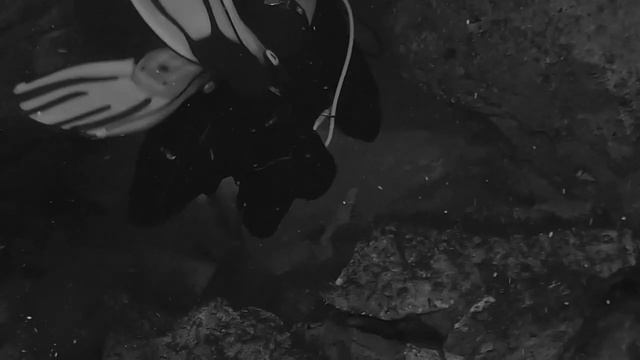 Cave Diving gone WRONG: The Blue Hole Cave Diving Disaster | Cave Diving Horror stories смотреть онлайн