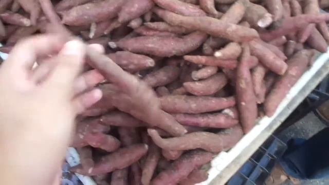 Visit Cameron Highland with My Brother смотреть онлайн