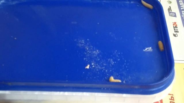 КРЮЧОК ДЛЯ МОТЫЛЯ И ОПАРЫША 2 смотреть онлайн