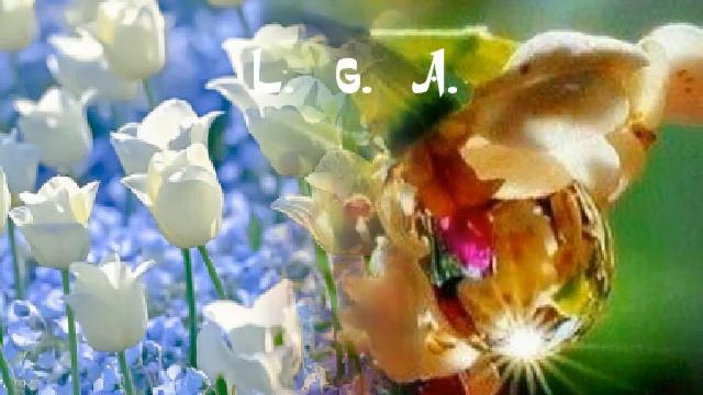 **Лето** Чи-ли смотреть онлайн