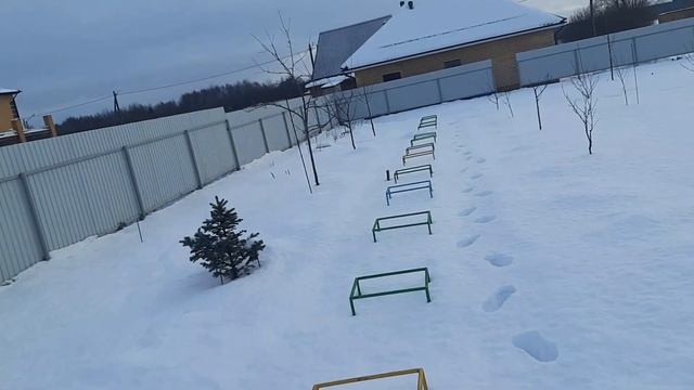 ВЕНТИЛЯЦИЯ И УТЕПЛЕНИЕ ПЧЕЛ В ЗИМОВНИКЕ. НАШ ЭКСПЕРИМЕНТ. НЕДЕЛЯ ЗИМОВКИ. смотреть онлайн