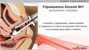 Упражнения Кегеля