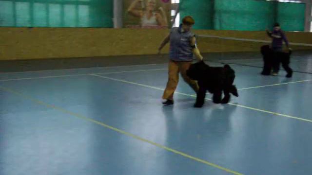 2012_02_ 25 Пинк Флоид Банга и Баклушечка сравнение на ВОВ смотреть онлайн