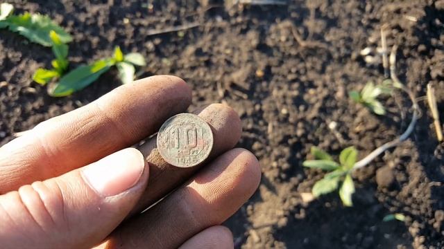 Коп в Башкирии на старое поле за монетами 30.05.2019г. смотреть онлайн