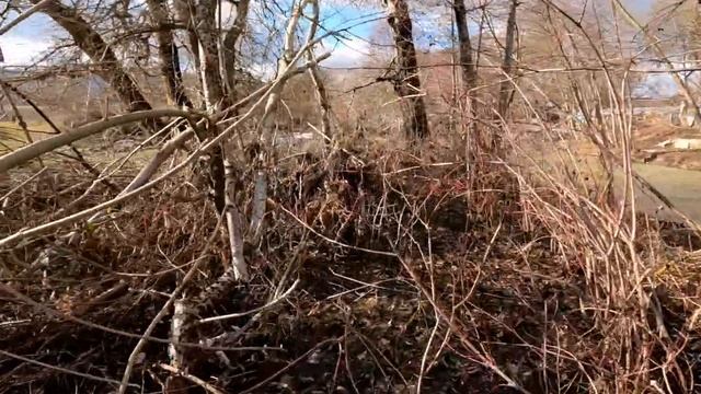 КРЫМ ВОДА - река Бельбек, что происходит с ним в феврале? смотреть онлайн