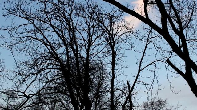 УКРАИНА, Киев: ПАРК ТАРАСА ШЕВЧЕНКО И УНИВЕРСИТЕТ смотреть онлайн