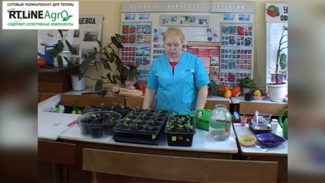 Фильмы о Природе и Экологии